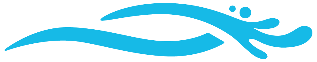 lcw-logo-auto